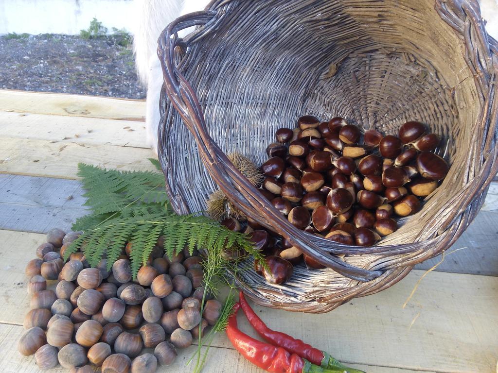 Il Giardino Di Leoca Bed and Breakfast Nicolosi Rum bild